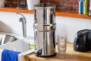 Why are Berkey water filters banned in California